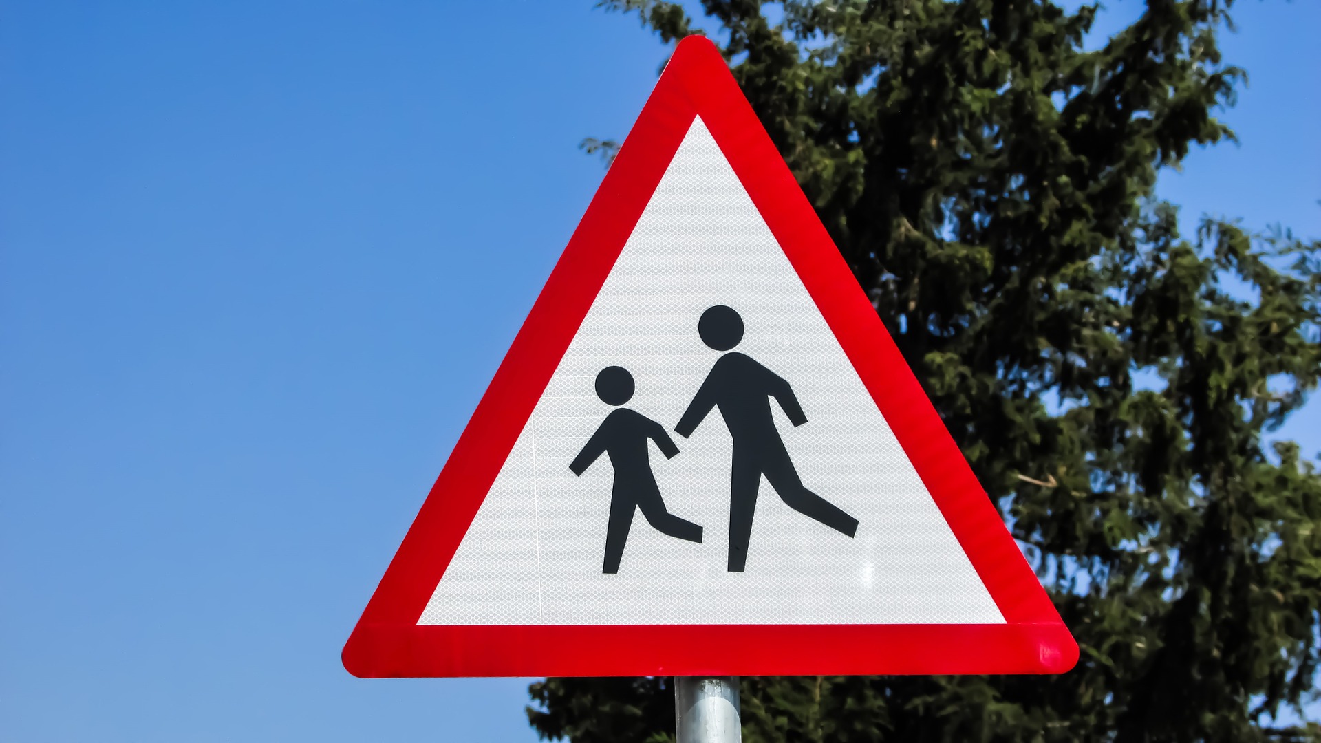 Road rules: children's crossings and pedestrian crossings 